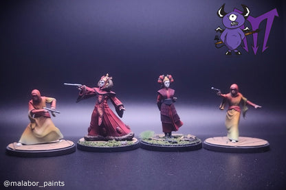 Fully painted Star Wars Shatterpoint: We Are Brave - Squad Pack by Malabor Paints