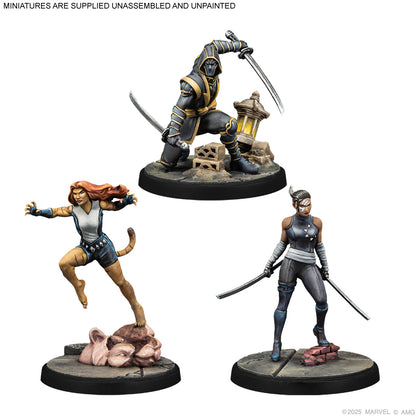 Marvel: Crisis Protocol - Echo, Ronin &amp; Tigra